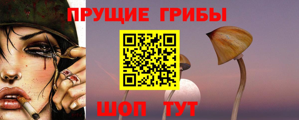 Зеленогорск  Галлюциногенные грибы Cubensis  Вход с VPN  Псилоцибиновые грибы GOLDEN TEACHER 