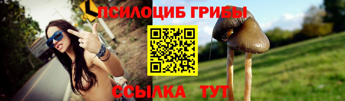 Псилоцибиновые грибы Magic Shrooms Зеленогорск